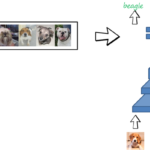 Rotating networks to prevent catastrophic forgetting